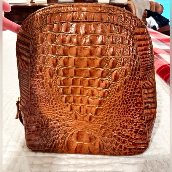 Brahmin Handbags - Beautiful Brahmin Backpack !